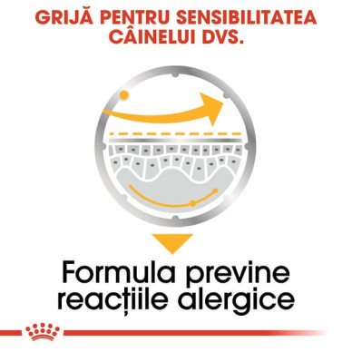 Royal Canin Dermacomfort All Sizes – Hrană Umedă Pate pentru Câini, 85 g